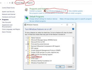 Enable Telnet on Windows