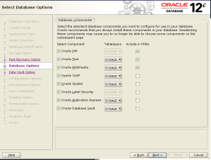 dbca database option